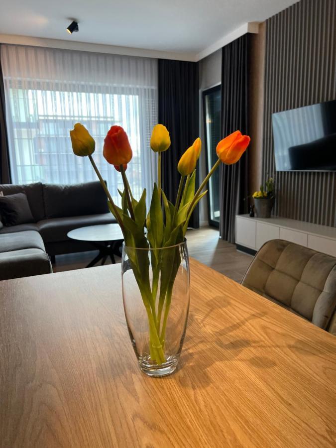 Apartamentowiec Apartment Opole